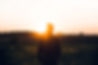 Image by Warren
