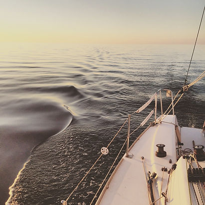 Image by Michal Janek