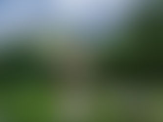 レビ記２０章９節　キリストの様に歩む恵み