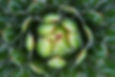 Image by Joe PiliĂŠ