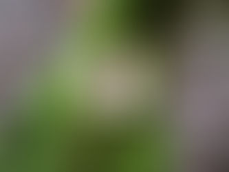 Life Path 4: Discover your strengths, weaknesses, and thrive in your career