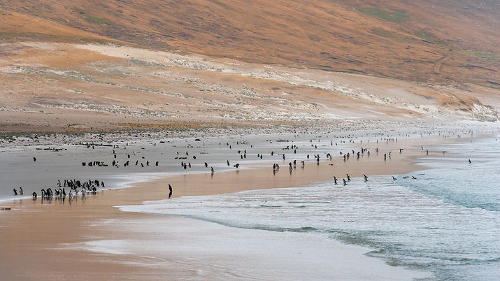 Image by Paul Carroll