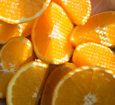 Image by Daniela Chavez