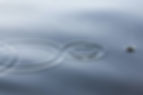 Image by Linus Nylund