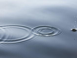 The Ripple Effect