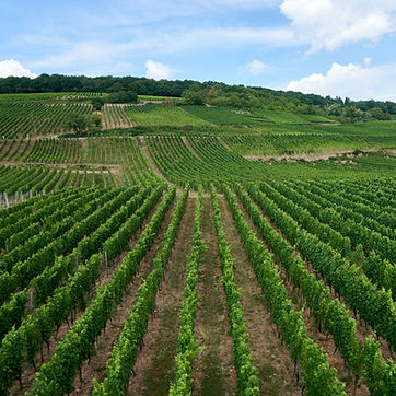 Image by Ben Bramhall