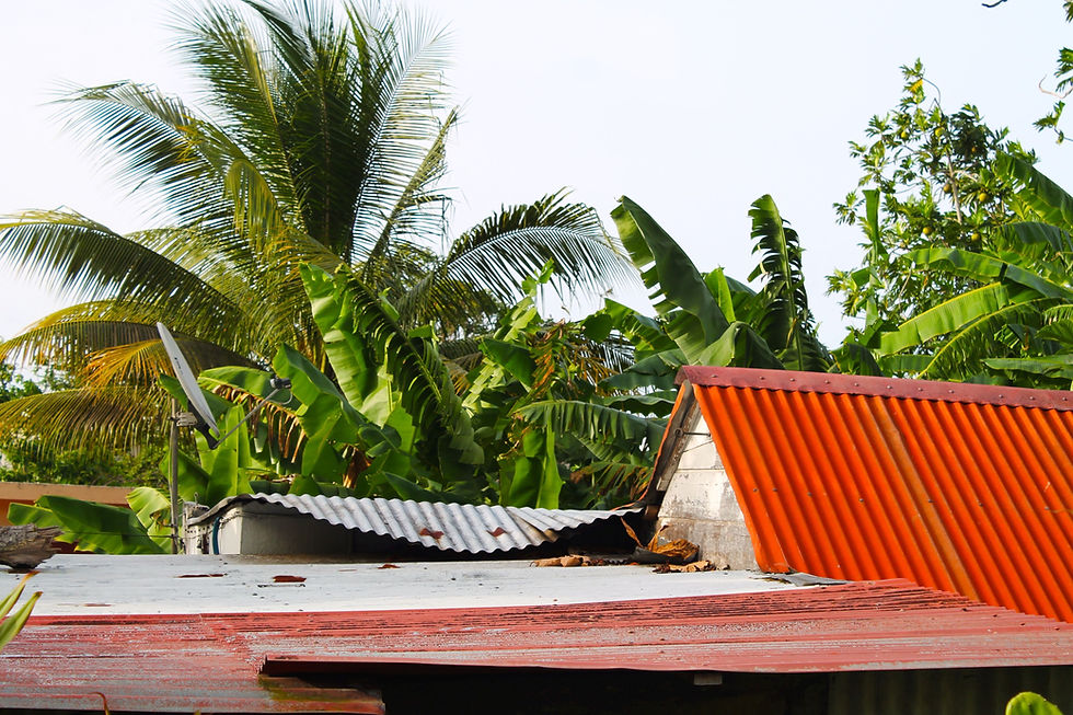 Image by Josh Atwood