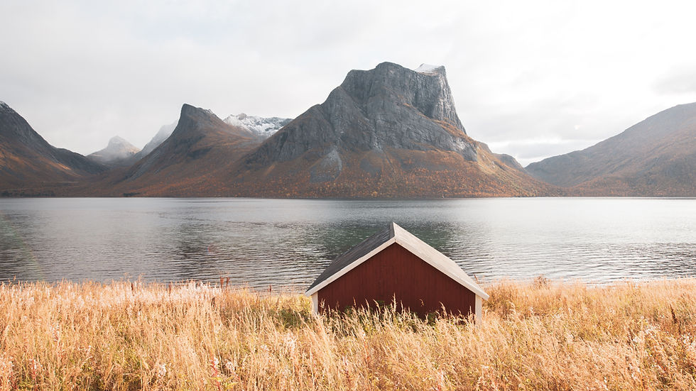 Image by Sami Takarautio