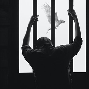 Image by Hasan Almasi