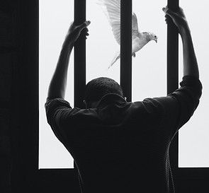 Image by Hasan Almasi