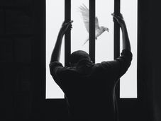 Carceri Italia. La situazione