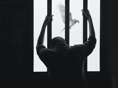 Image by Hasan Almasi