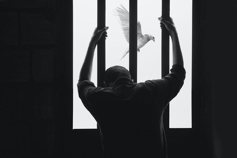 Image by Hasan Almasi