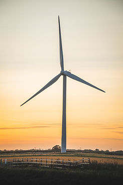 Image by Luke Thornton