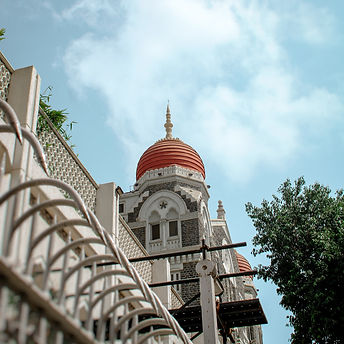 Image by Shaida Safi