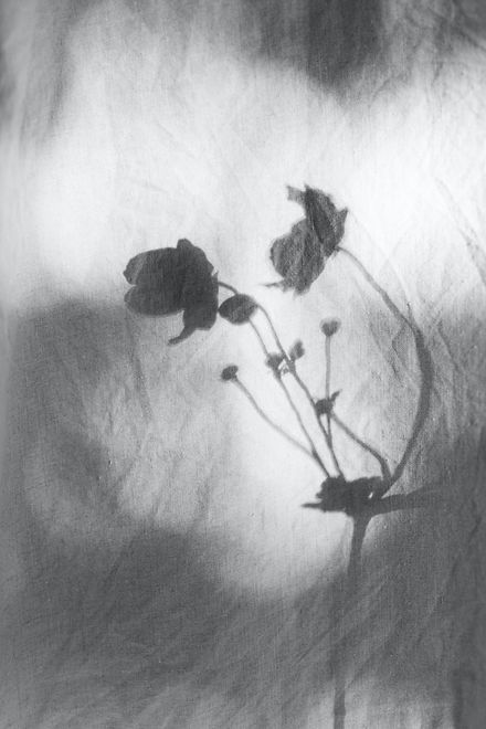 Image de Kasia Sikorska