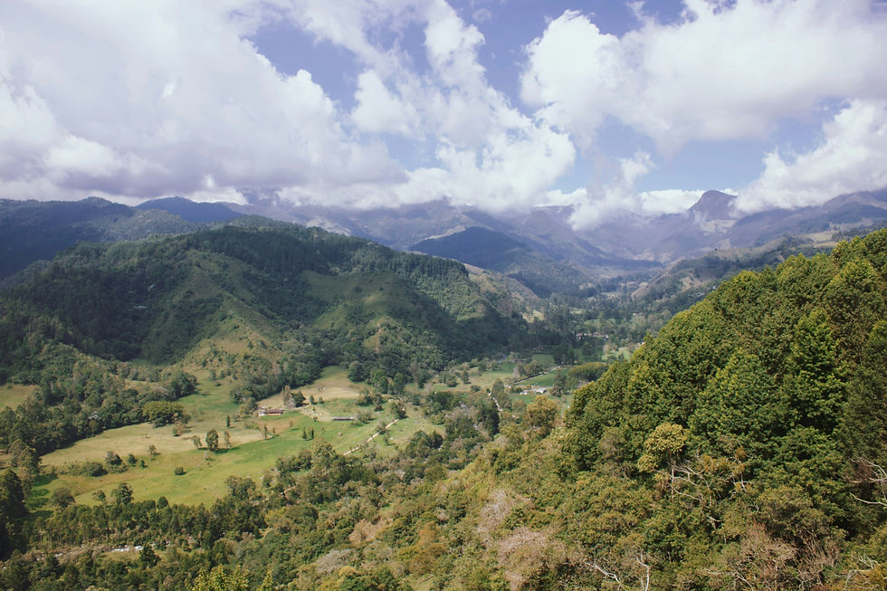 Salento colombia viewpoint