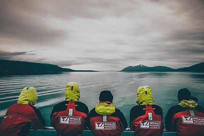 Image by Chris Yang
