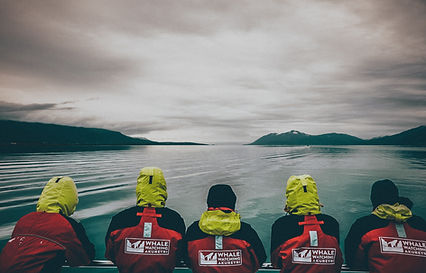 Image by Chris Yang