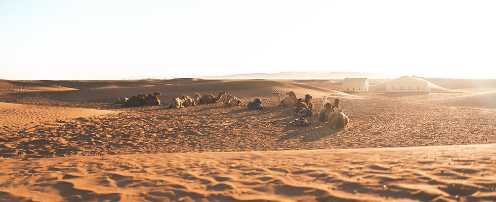 Image by Marvin Meyer