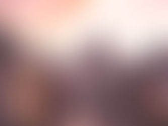 VIP NYC Transfers - Private Chauffeur NYC: The Art of Choosing the Right One