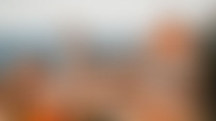 🥲 La Belleza de Florencia