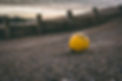 Image by Matt Obee