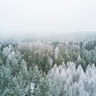 Image by Atle Mo