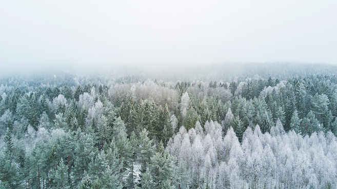 Image by Atle Mo