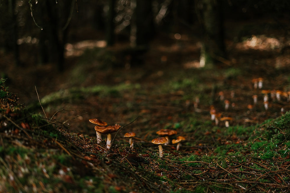 Image by Toa Heftiba