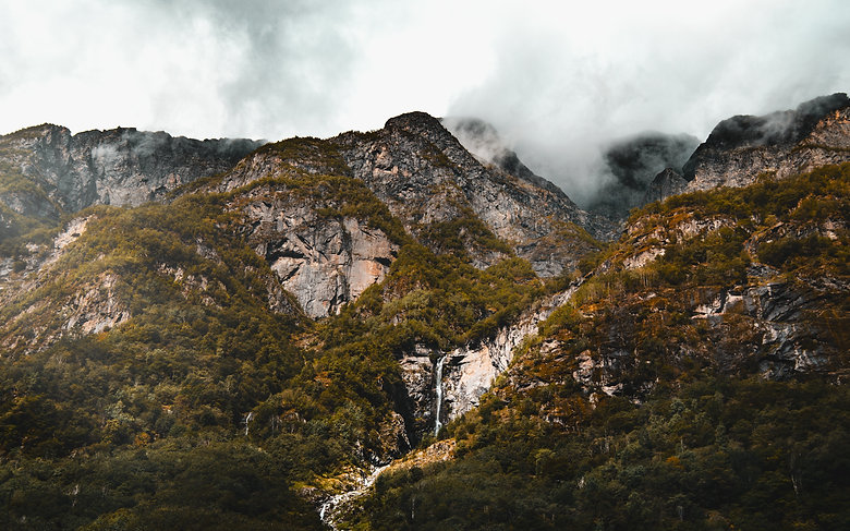 Image by Elise Mahutte