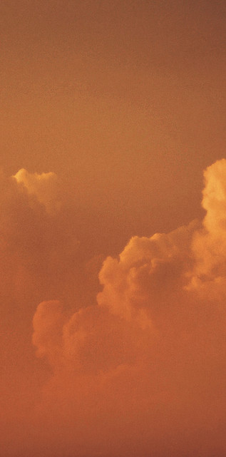 Image by Elia Pellegrini