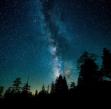 Image by Casey Horner