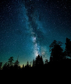 Image by Casey Horner