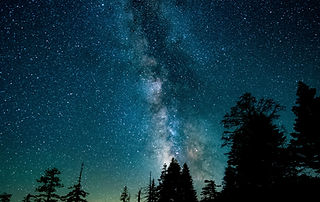 Image by Casey Horner