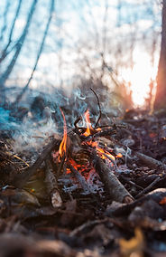 Image by Siim Lukka