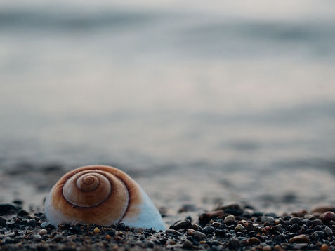 Image by Aaron Burden