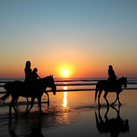 Horseriding