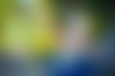 Die spielerische Leichtigkeit des Seins