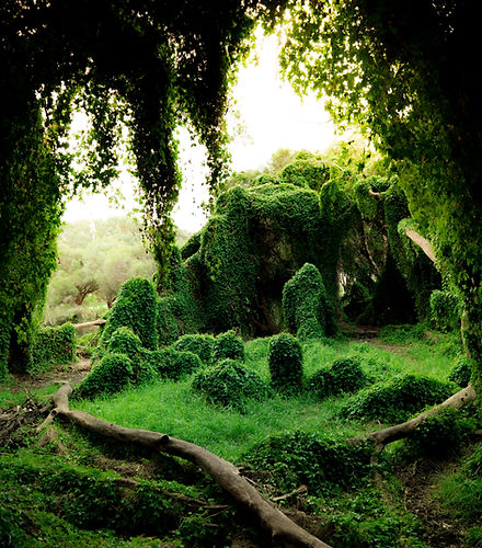 Image by Harry Cunningham