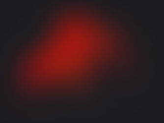 Remembrance Rose on Valentine's Day