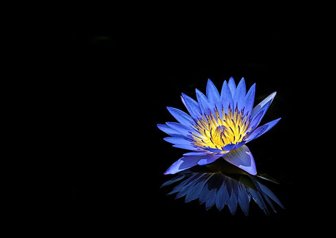 Image by David Clode