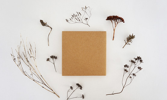 Image by Victoria Strukovskaya