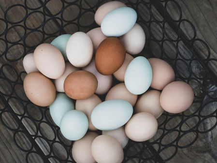 Taking Your Chicken Eggs to Market