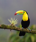 Image by Zdeněk Macháček