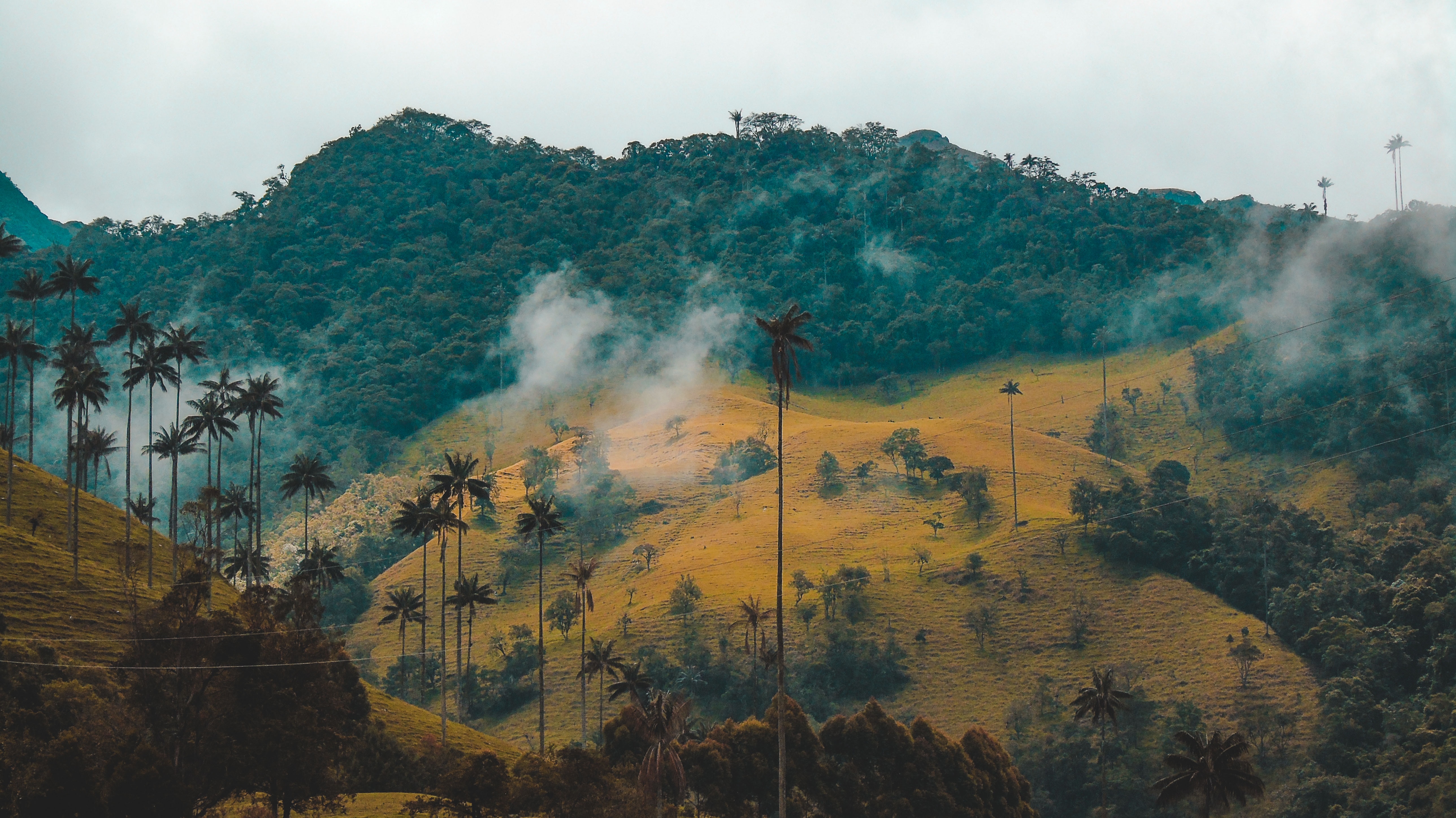 Undiscovered Colombia
