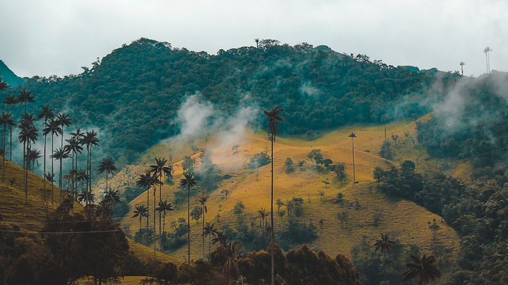 Image by Fernanda Fierro