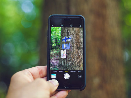 How To Photograph Artwork With Your Smartphone