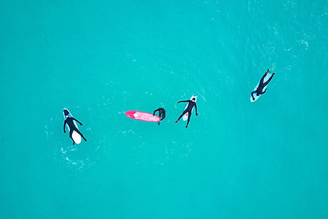 Image by Johny Goerend