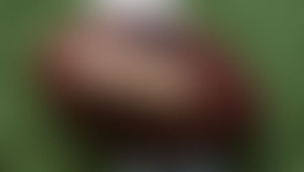 NFL Sunday Week 13: Props for fun